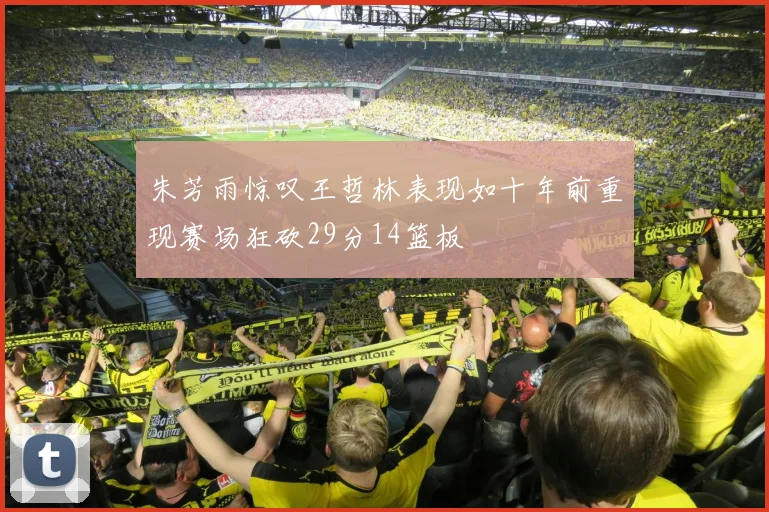 朱芳雨惊叹王哲林表现如十年前重现赛场狂砍29分14篮板