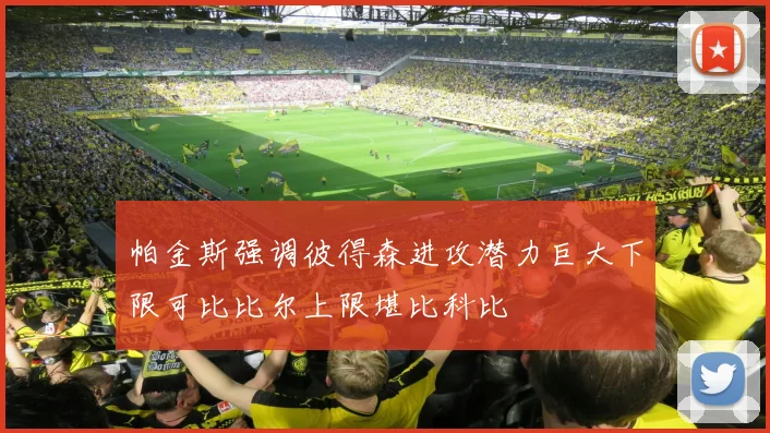 帕金斯强调彼得森进攻潜力巨大下限可比比尔上限堪比科比